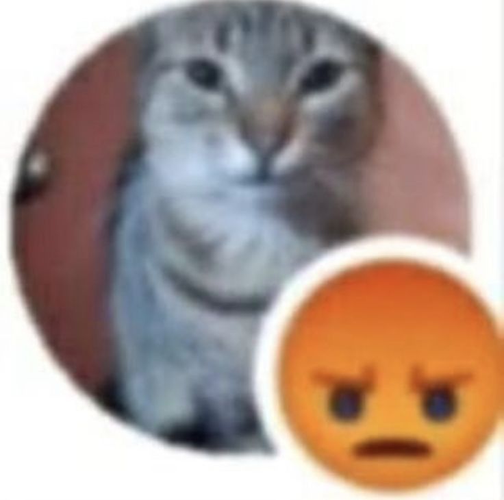 *roblox angry sound*